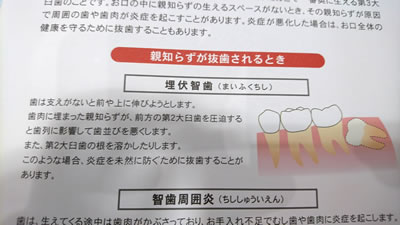 親知らずのトラブルについて はぎわら歯科クリニック